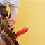 Handyman repair service in Fort Collins, CO for home fixes and improvements