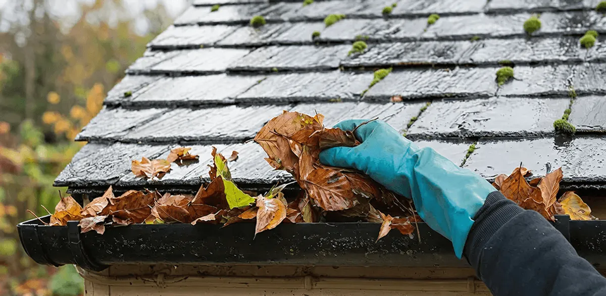 Gutter cleaning technician clearing wet leaves from roof gutters in Fort Collins, CO
